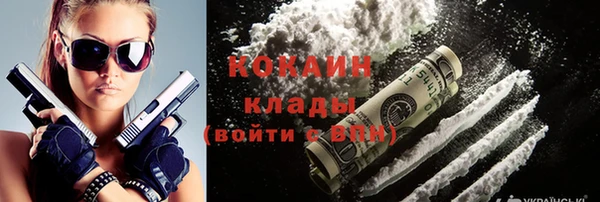 СК Новозыбков